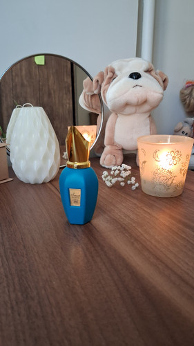 عطر زرجف ارباپورا 25 میل Xerjoff Erba Pura